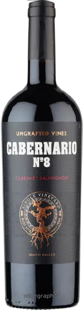 Santa Rita Cabernario No 8 Single Vineyard Cabernet Sauvignon