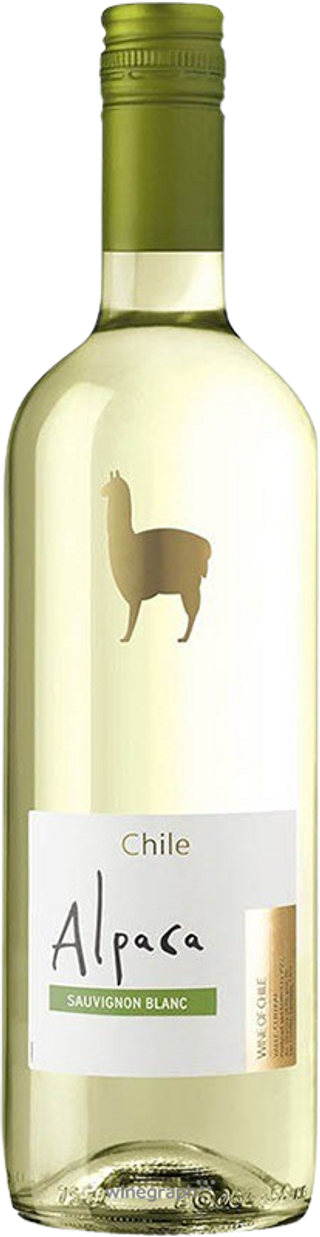 bottle image